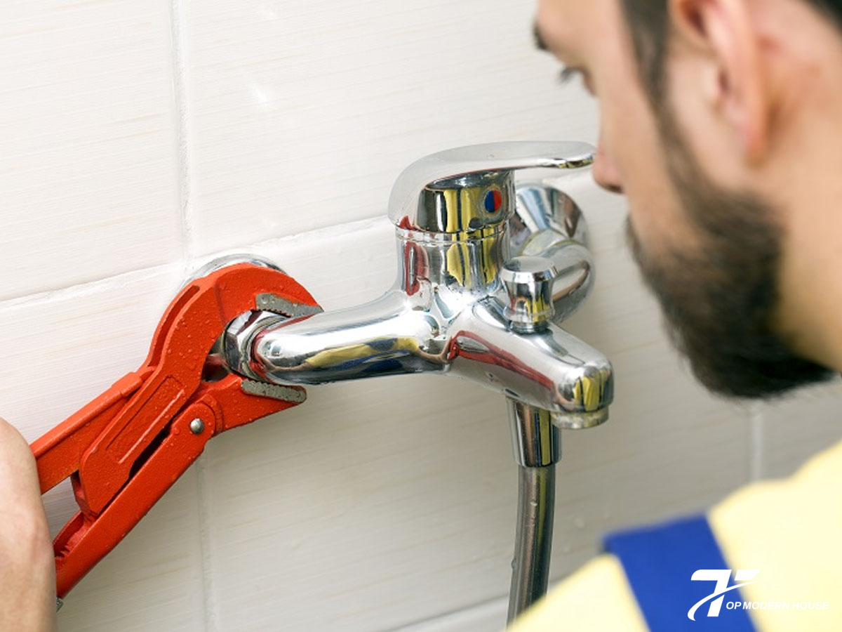 Lắp đặt củ sen