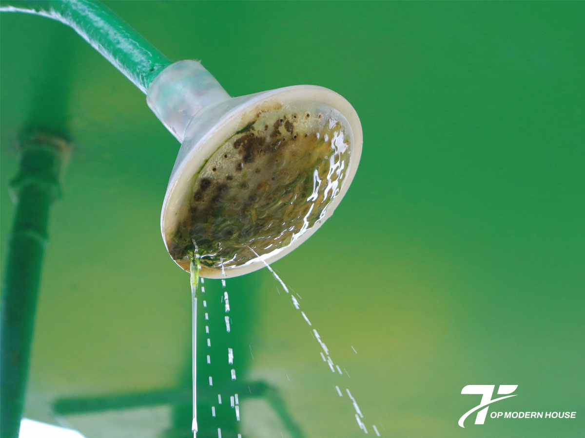 Sen tắm bị gỉ sét và nước chảy yếu thường do chất lượng nước kém, lắp đặt sai cách hoặc sử dụng vật liệu không chống oxy hóa.