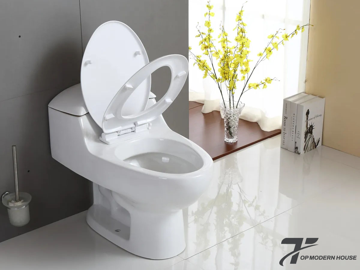 Giới thiệu phụ kiện bồn cầu TOTO