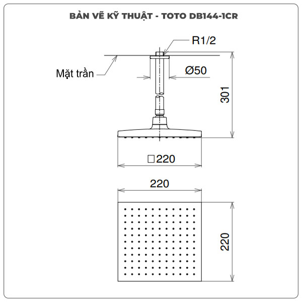 Thông số kỹ thuật bát sen gắn trần TOTO DB144-1CR
