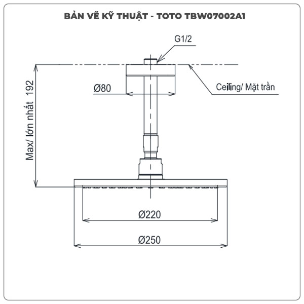 Thông số kỹ thuật bát sen gắn trần TOTO TBW07002A1