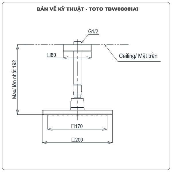 Thông số kỹ thuật bát sen gắn trần TOTO TBW08001A1
