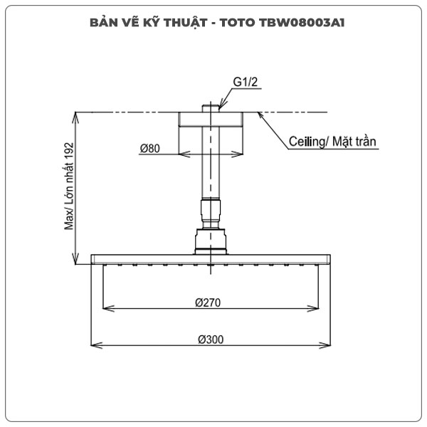 Thông số kỹ thuật bát sen gắn trần TOTO TBW08003A1
