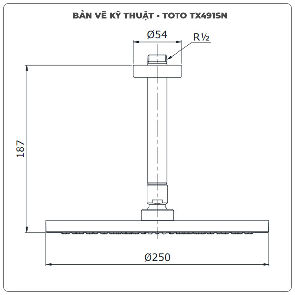 Thông số kỹ thuật bát sen gắn trần TOTO TX491SN