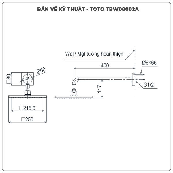 Thông số kỹ thuật bát sen gắn tường TOTO TBW08002A