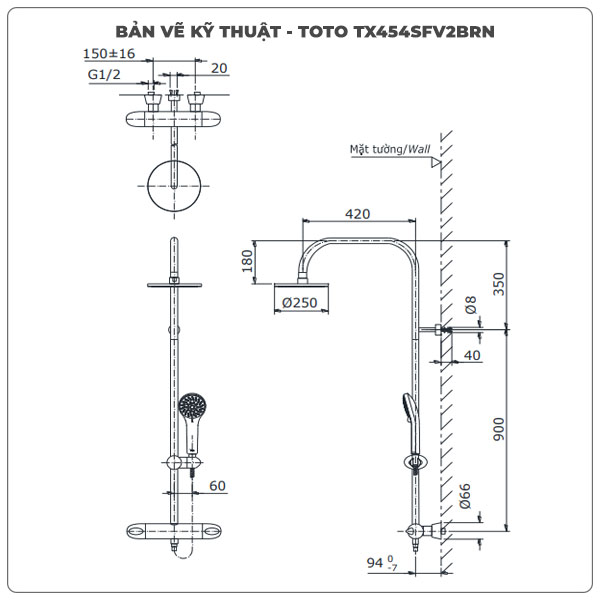 Thông số kỹ thuật sen cây TOTO TX454SFV2BRN