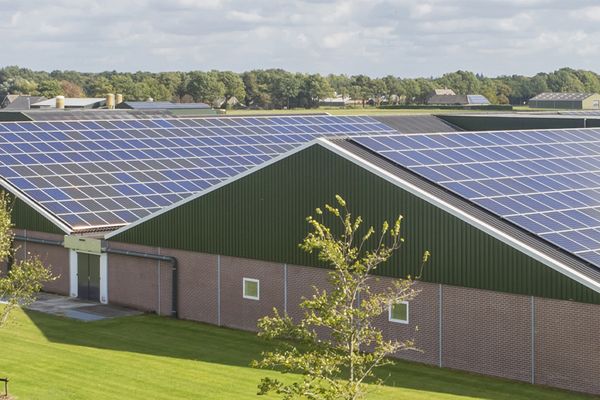 Câu chuyện trường hợp: 