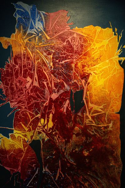 the-vibrant-hues-artwork