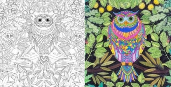 Cơn sốt Coloring Book lan tới Việt Nam