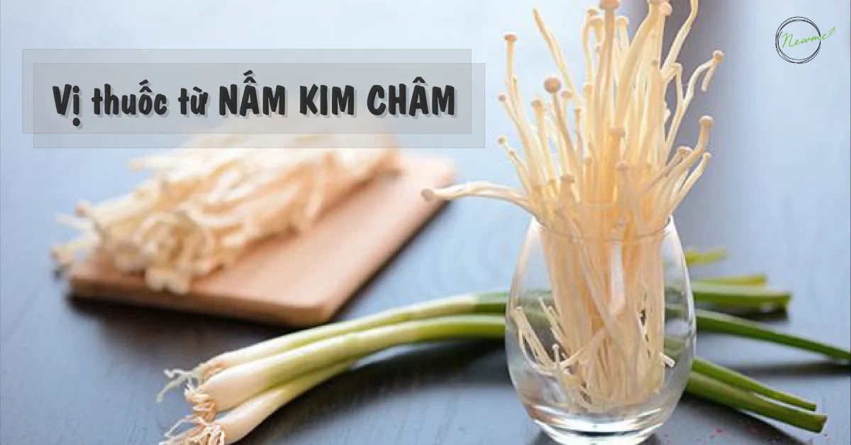 Vị thuốc từ NẤM KIM CHÂM