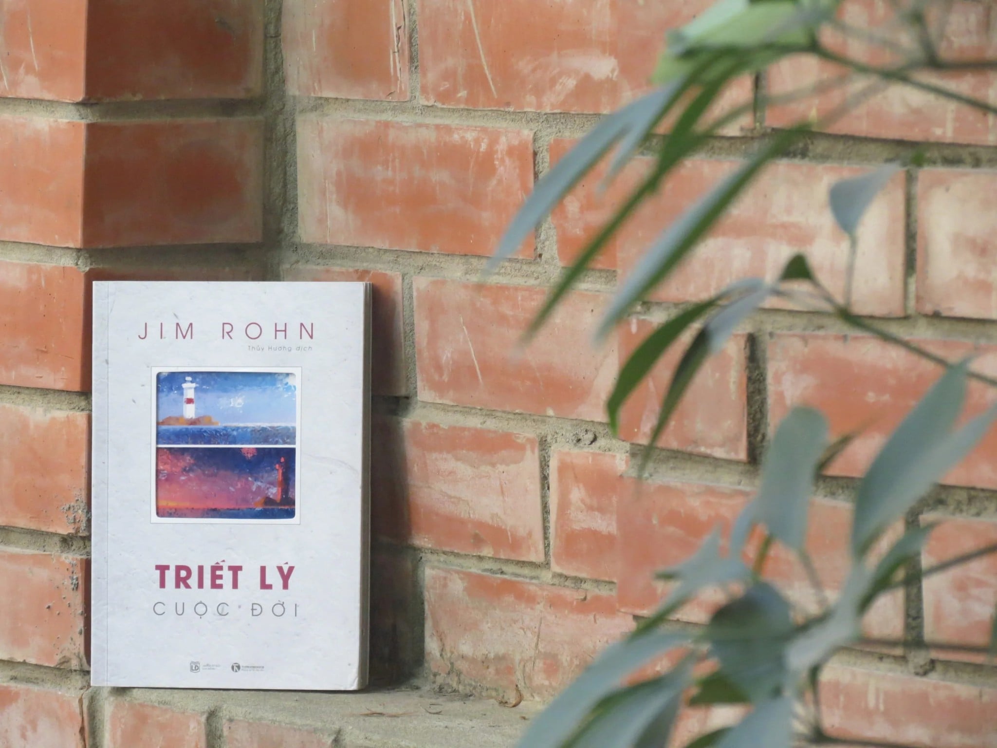 18h00 ngày 22/07 Reading tour số 50 – Sinh hoạt CLB Yêu sách Thái Hà với chủ đề “Triết lý cuộc đời”
