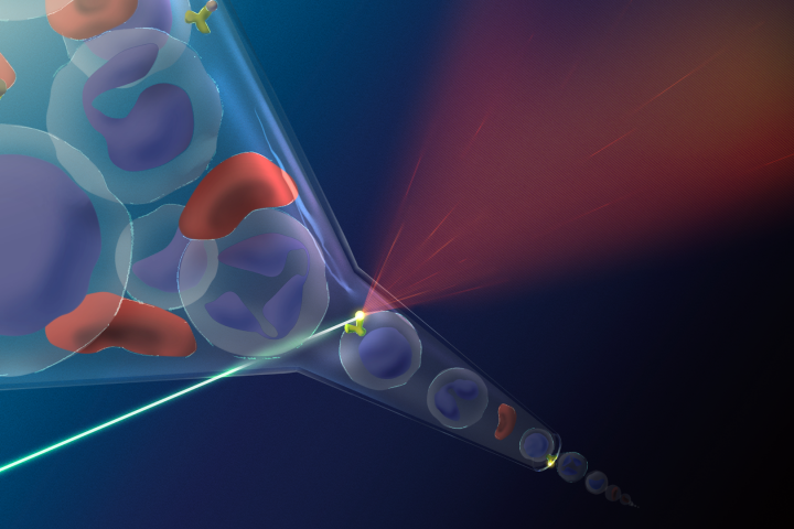Ứng dụng Kỹ thuật Flow Cytometry trong Phân tích Tế Bào