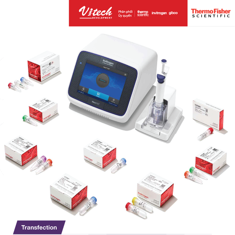 Giải pháp chuyển gen của Invitrogen (Tài liệu TFS)