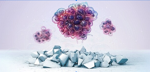Types of Matrices in 3D Cell Culture