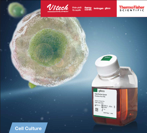 Cung cấp giải pháp nuôi cấy tế bào - Gibco Sera (Tài liệu TFS)