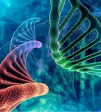 Dịch vụ tổng hợp