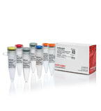 Kit chẩn đoán bệnh động vật bằng qPCR