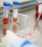 Hệ thống nuôi cấy tế bào tự động Bioreactor