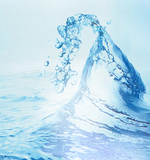 Type 1 & Type 2 Water Purification Systems