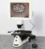 Hệ thống kính hiển vi soi ngược