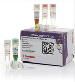 Hóa chất kiểm tra chất lượng tế bào