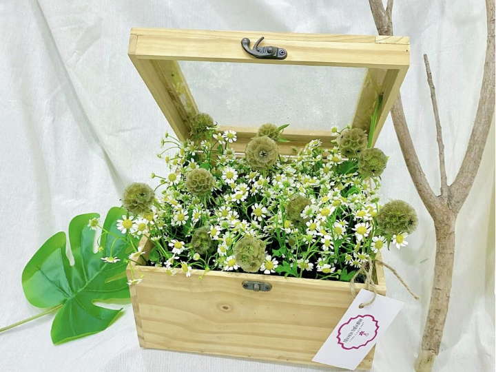 Hoa hộp – Flower box