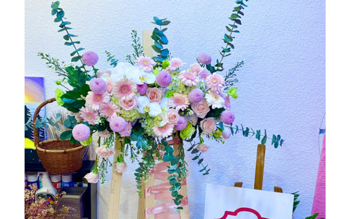 Hoa chúc mừng – Congratulation flower
