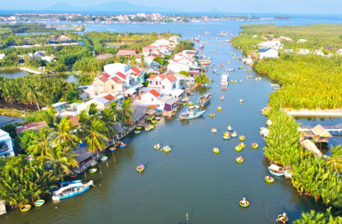 🌿 Rừng Dừa Cẩm Thanh – Điểm Đến Sinh Thái & Văn Hóa Độc Đáo 🌊