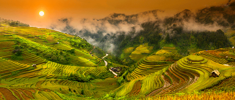 Du lịch Tây Bắc mùa lúa chín – Cẩm nang săn lúa vàng từ A đến Z