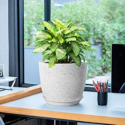 Tôn vẻ đẹp của khu vườn bạn bằng chậu hoa giả đá