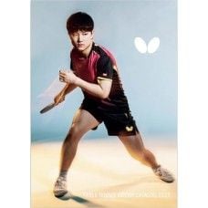 CATALOG BUTTERFLY 2023 -VERSION JAPANESE