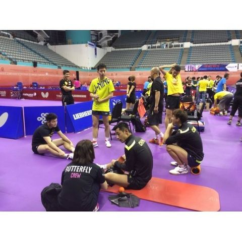 HÌNH ẢNH TRƯỚC NGÀY THI ĐẤU GIẢI BÓNG BÀN VÔ ĐỊCH THẾ GIỚI 2016