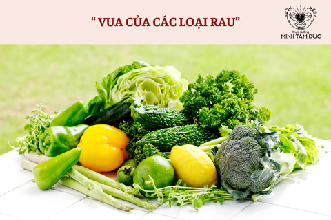 RAU XANH NHIỀU DINH DƯỠNG NHẤT LÀ RAU GÌ?  NGƯỜI SỨC KHOẺ YẾU PHẢI ĂN “ VUA CỦA CÁC LOẠI RAU ” NÀY  ĐỂ CẢI THIỆN NHANH