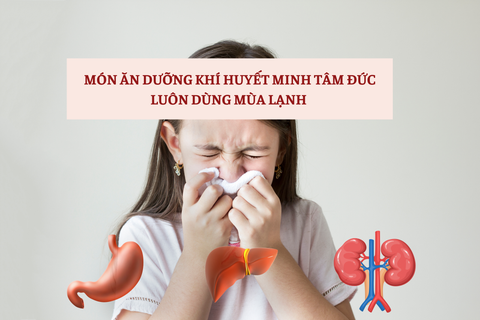 Món ăn dưỡng khí huyết Minh Tâm Đức luôn dùng mùa lạnh