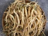 bột nêm ngưu bàng sâm ngọc linh - gia vị thực dưỡng tốt cho sức khỏe