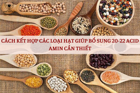 TỔ YẾN CHỨA 19 ACID AMIN GIÚP PHỤC HỒI SỨC KHỎE NHANH NHƯNG NẾU BIẾT KẾT HỢP CÁC LOẠI HẠT SAU CÙNG NHAU THÌ TỔ YẾN PHẢI GỌI LÀ “ÔNG BÀ”. CÁCH KẾT HỢP HẠT GIÚP BỔ SUNG 20-22 ACID AMIN CẦN THIẾT