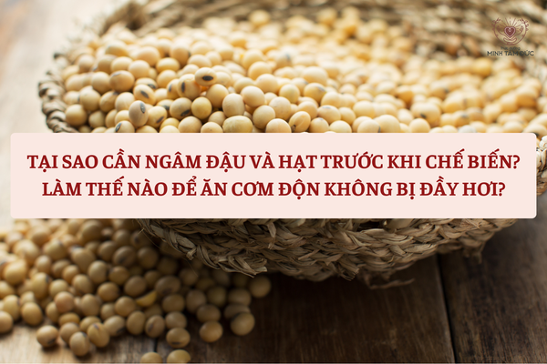 TẠI SAO CẦN NGÂM ĐẬU VÀ HẠT TRƯỚC KHI CHẾ BIẾN? LÀM THẾ NÀO ĐỂ ĂN CƠM ĐỘN KHÔNG BỊ ĐẦY HƠI?