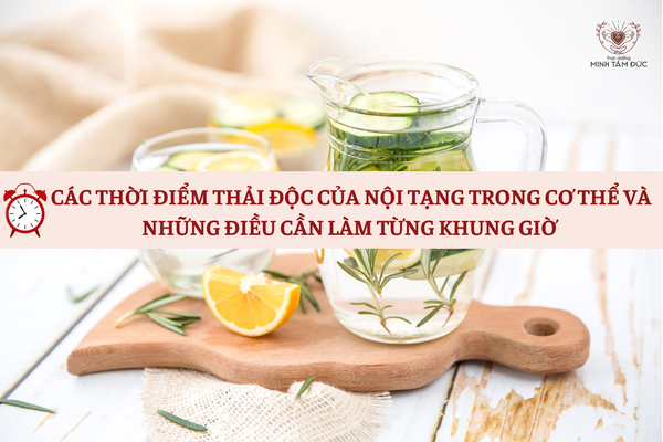 CÁC THỜI ĐIỂM THẢI ĐỘC CỦA NỘI TẠNG TRONG CƠ THỂ VÀ NHỮNG ĐIỀU CẦN LÀM TỪNG KHUNG GIỜ