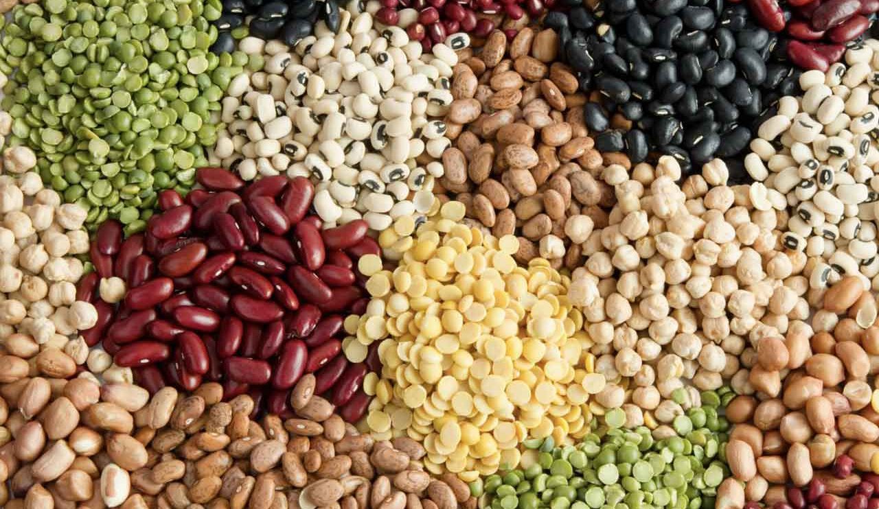 BẮT ĐẦU THỰC DƯỠNG THÌ ĂN GÌ CHO DỄ? - phần 2