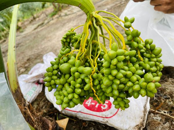 ĐỪNG ĐỨNG PHÍA SAU NGƯỜI THÀNH CÔNG