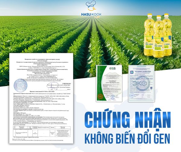 Hình ảnh bài viết