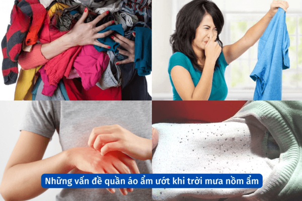 Hình ảnh bài viết