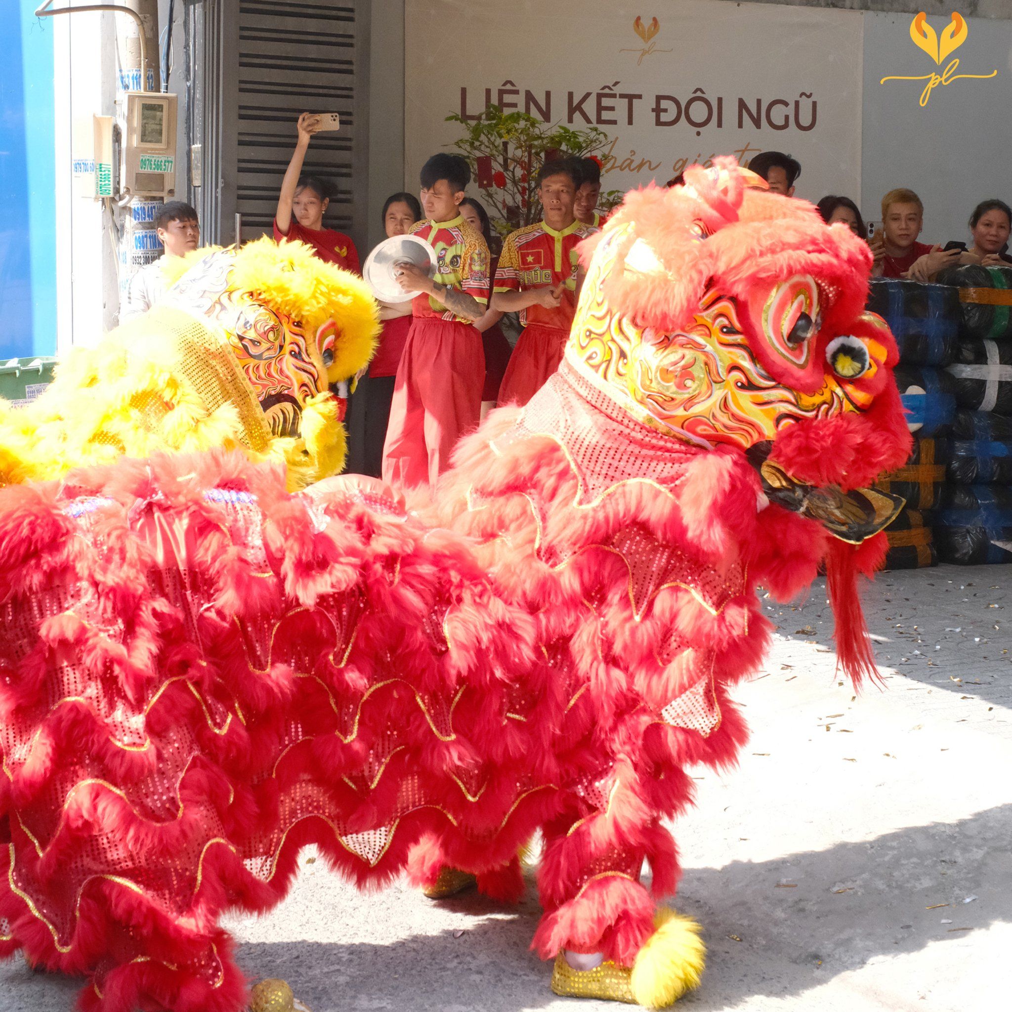 Hình ảnh bài viết