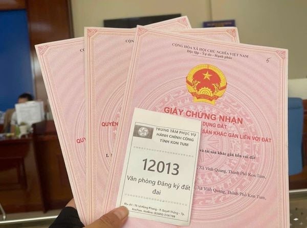 Người Gốc Việt đứng tên nhà dất Việt Nam