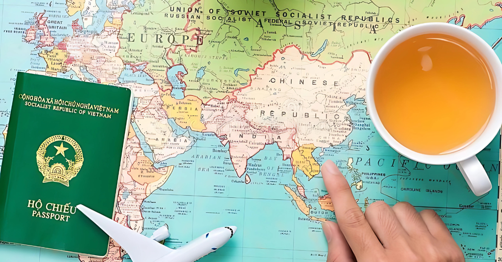 Dịch vụ Hỗ trợ Thôi Quốc Tịch Việt Nam