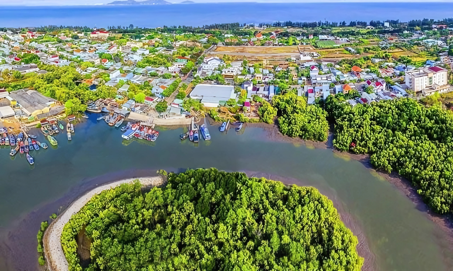 Đất Vườn Cần Giờ - Cơ Hội Đầu Tư Sinh Lời Bền Vững