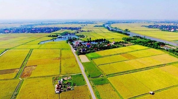 So Sánh Đất Thổ Cư Và Đất Nông Nghiệp Tại Cần Giờ