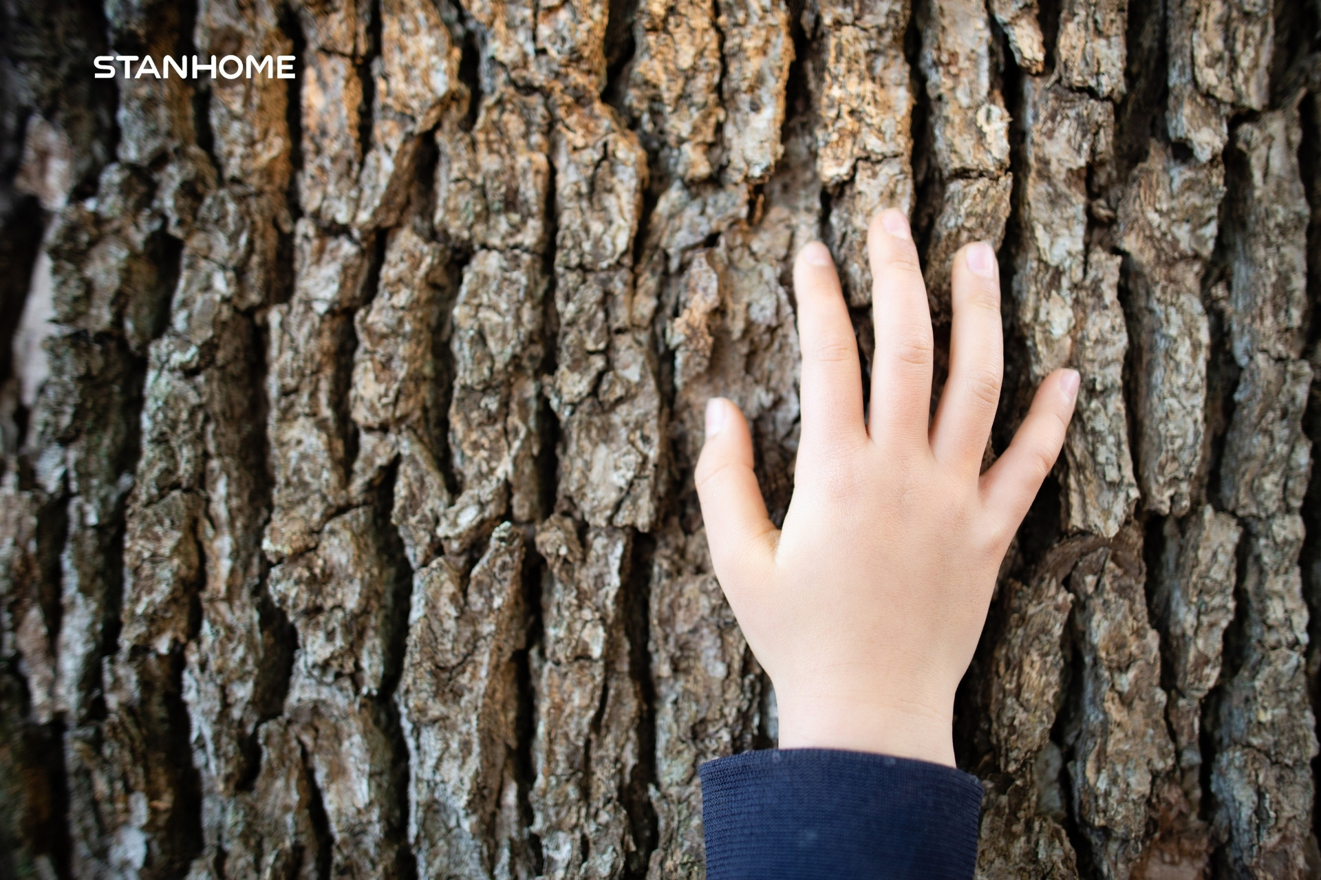Thời tiết hanh khô, độ ẩm và nhiệt độ giảm, da dễ mất nước dẫn đến khô da tay