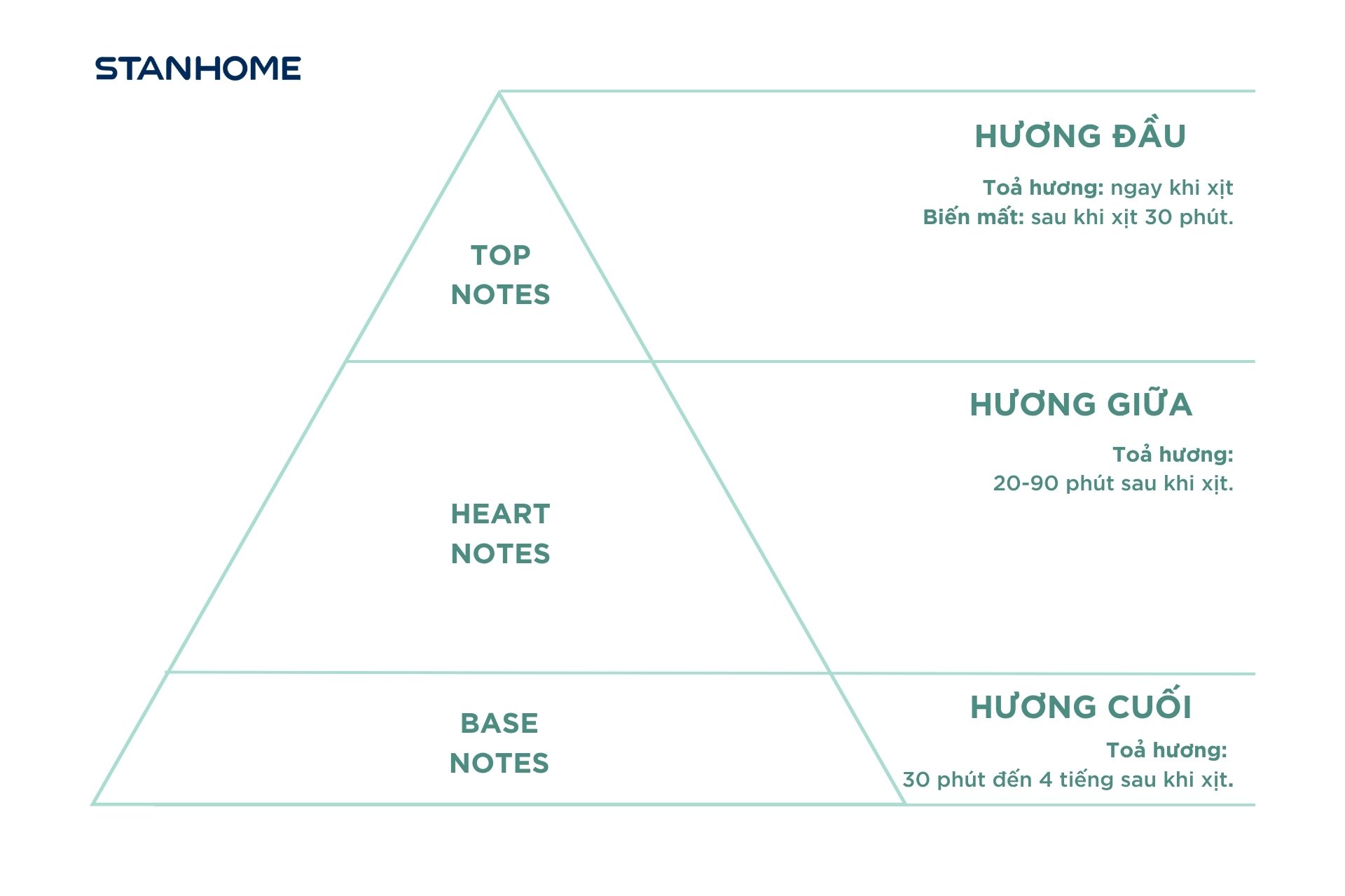 Kim tự tháp khứu giác liên hệ trực tiếp Ba tầng hương: hương đầu, hương giữa, hương