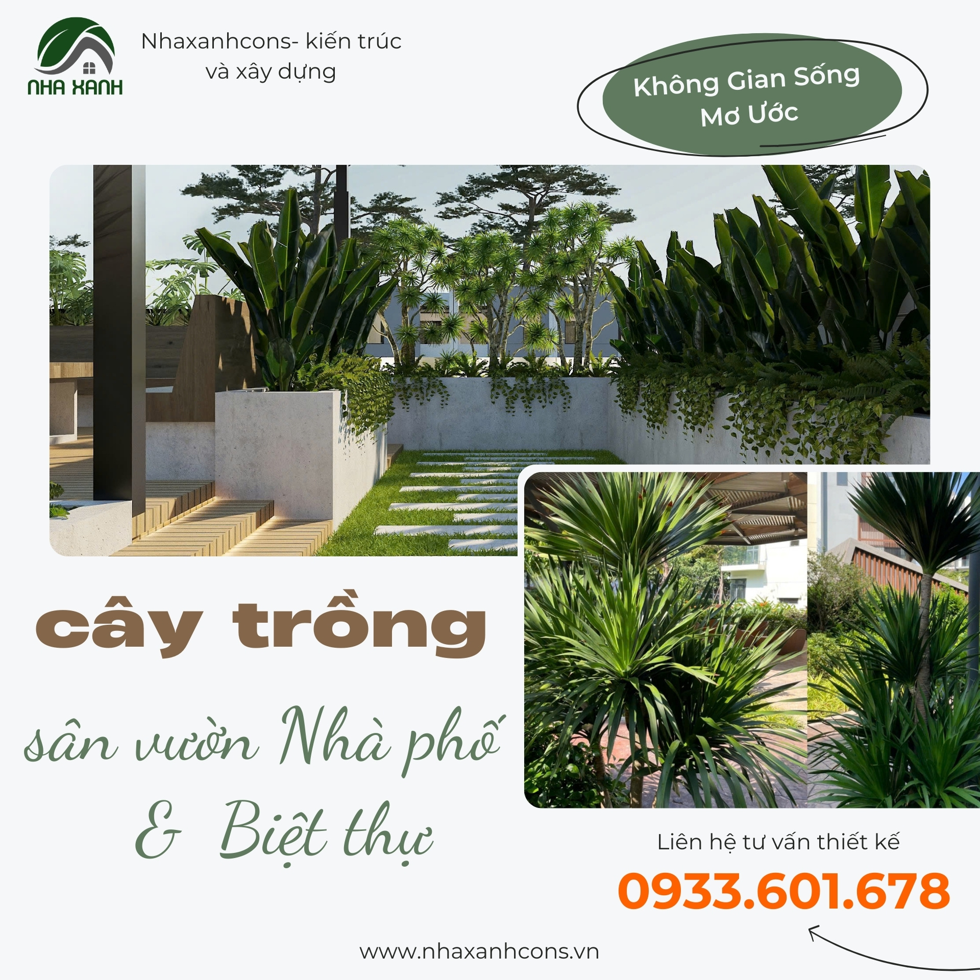 Top 36 loại cây trồng sân vườn biệt thự: Tạo nên không gian sống xanh mát, thịnh vượng Top 36 loại cây trồng sân vườn biệt thự: Tạo nên không gian sống xanh mát, thịnh vượng